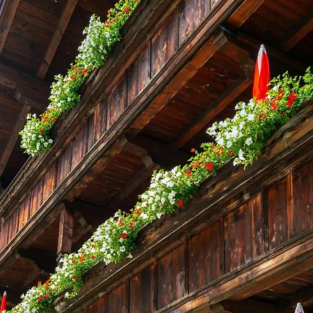 Zellner 5 Apartment Alpbach